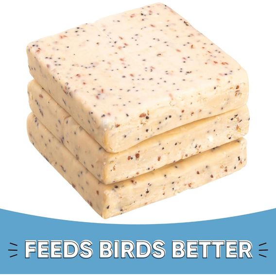 Happy Beaks - Seeded Suet Blocks
